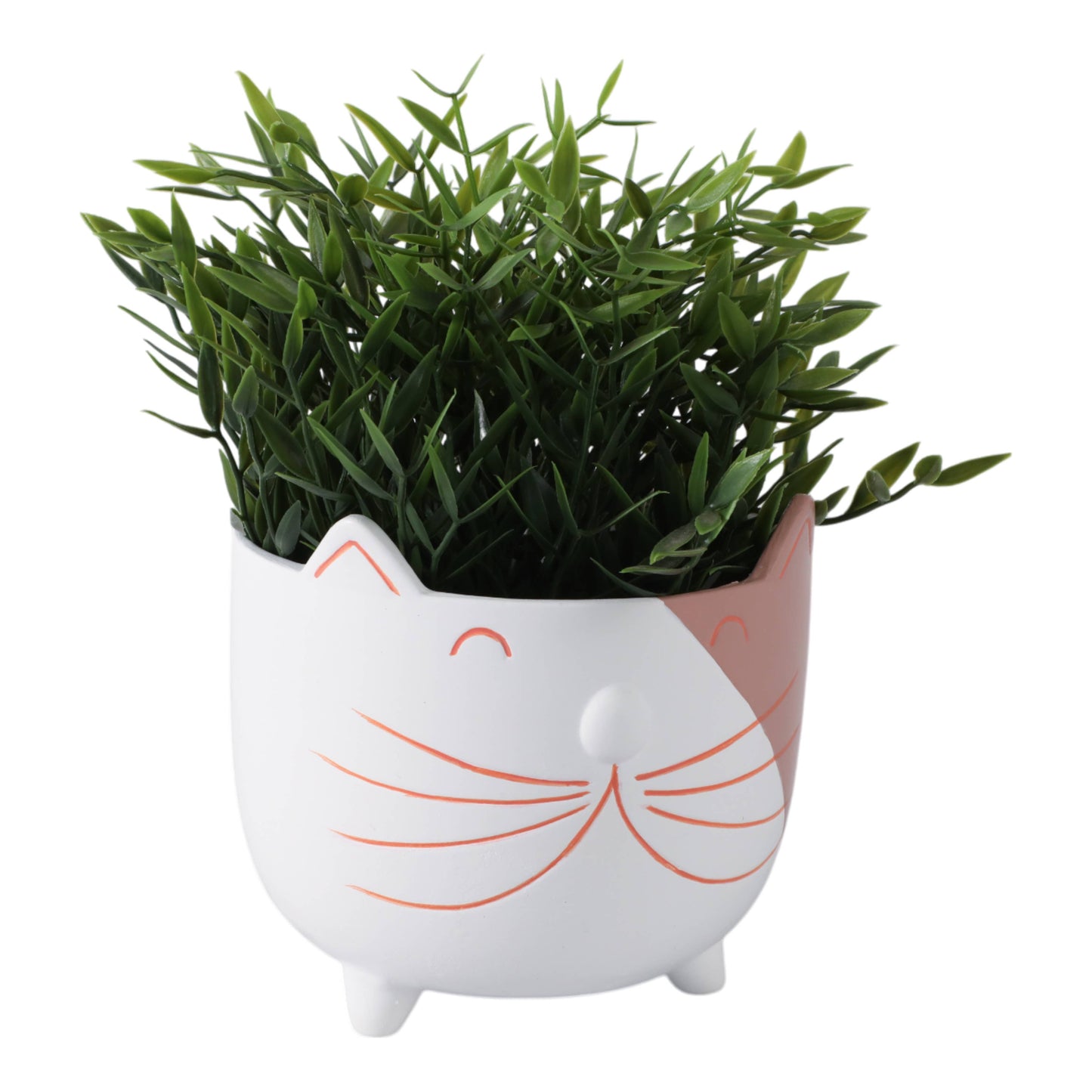 White Kitty Whiskers Planter