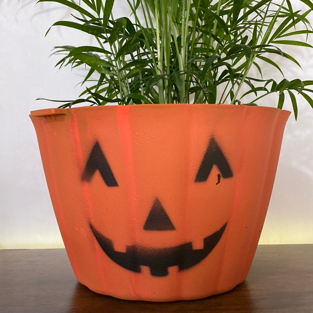 Harvey pumpkin pot