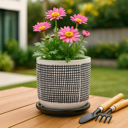 Gray Mesh Design Planter with Saucer 6"