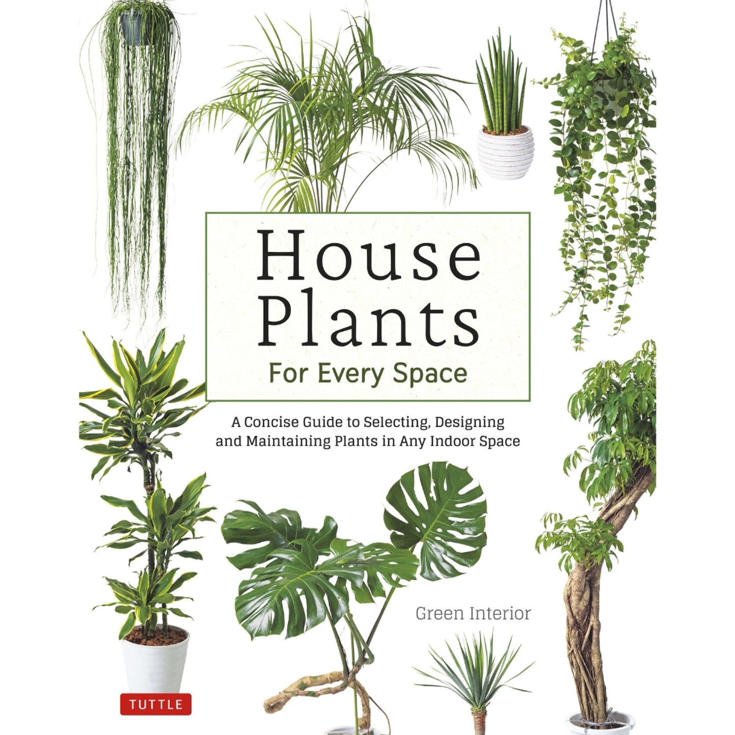 House Plants for Every Space