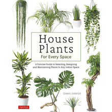 House Plants for Every Space