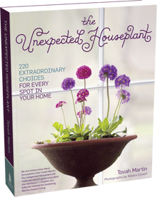 The Unexpected Houseplant