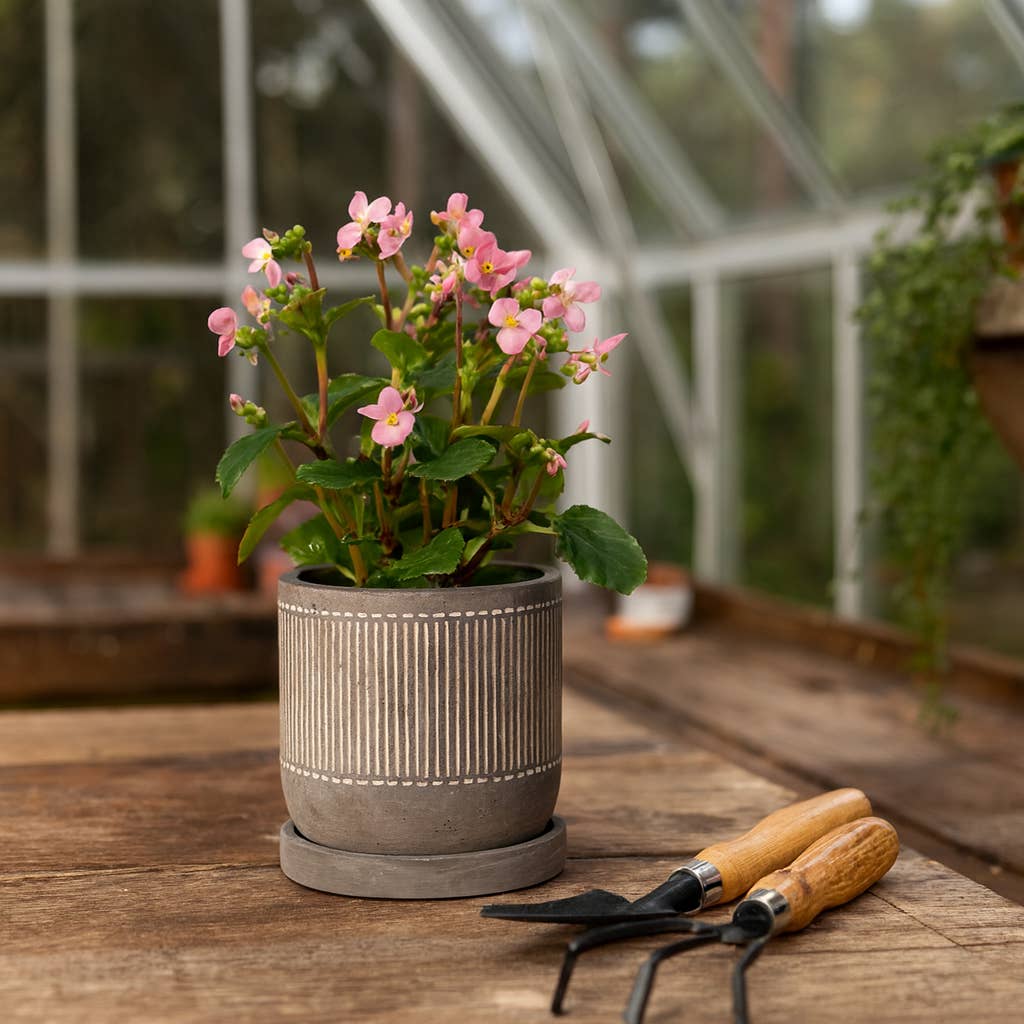 Gray Line Pattern Planter with Saucer 6"
