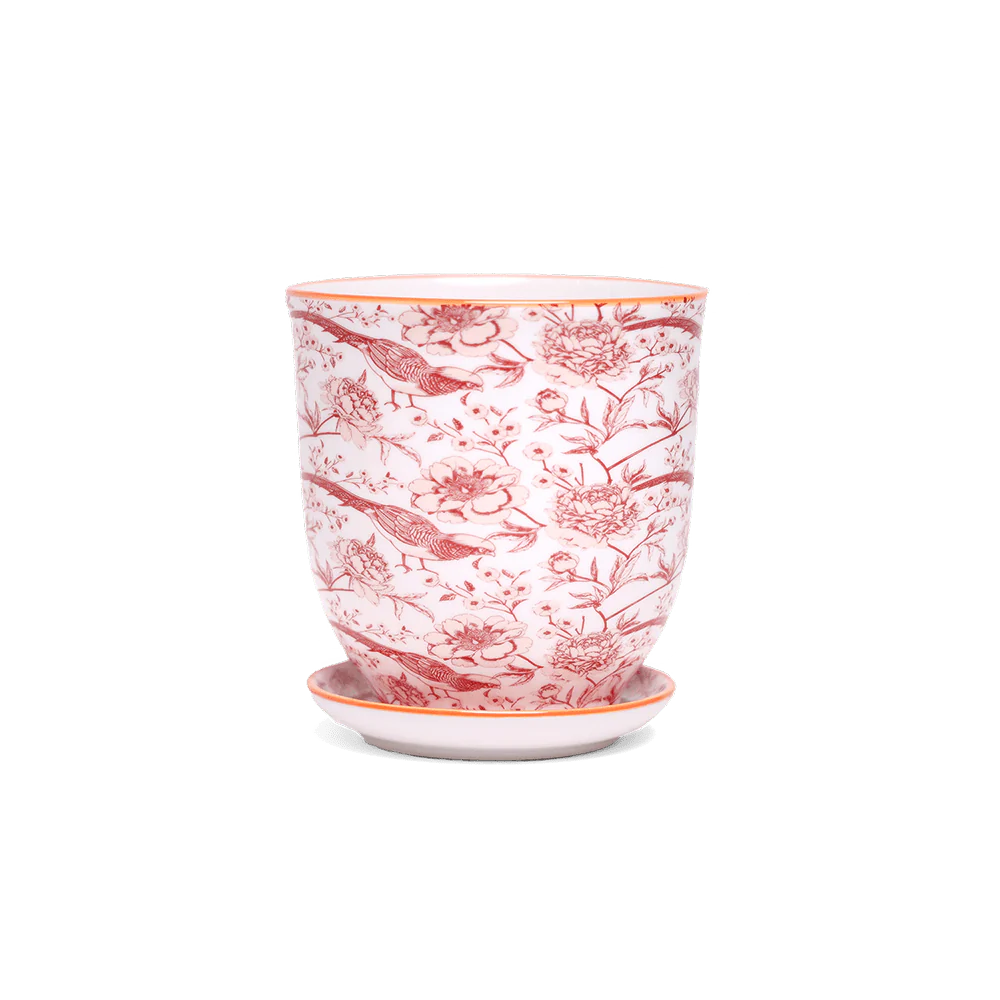 Big Liberte 3 Pot & Saucer
