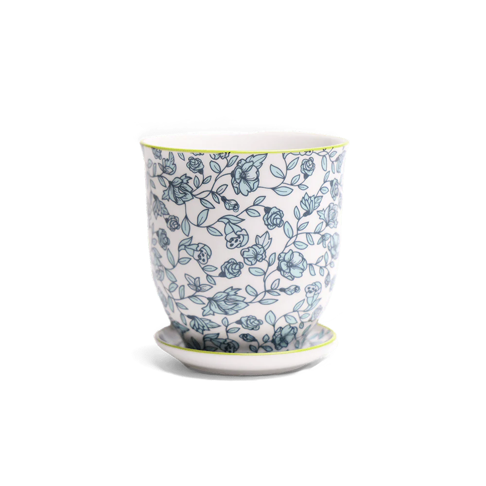 Big Liberte 3 Pot & Saucer