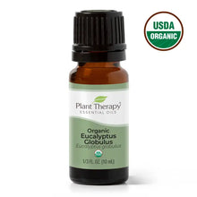 Eucalyptus Globulus Organic Essential Oil