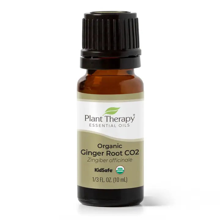 Ginger Root Organic Essential Oil 10 ml