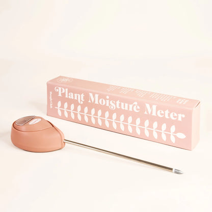 3-in-1 Moisture Meter