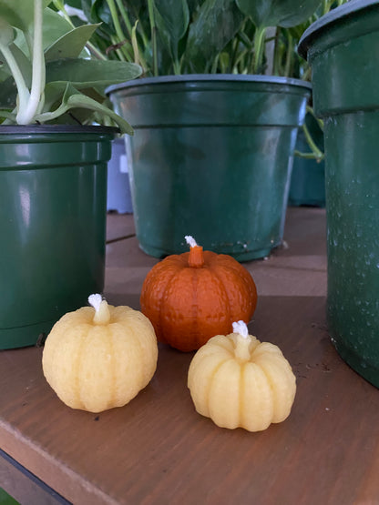 Beeswax Candles - Locally made