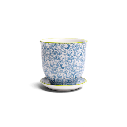 Small Liberte Pot & Saucer