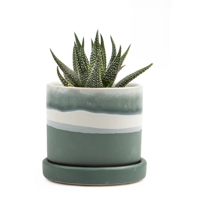 Small Minute Pot & Saucer