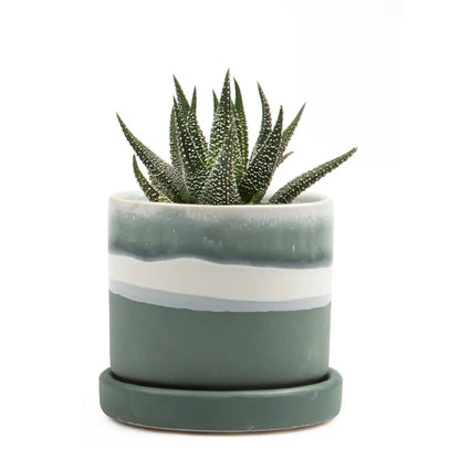 Small Minute Pot & Saucer