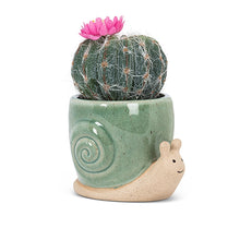 XS Crawling Snail Planter - 3.5"L