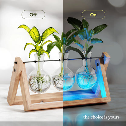 Light Up Bamboo Propagation Station
