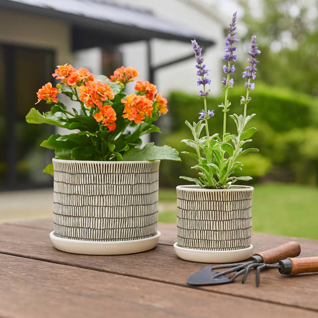 Ivory Line Planter with Saucer