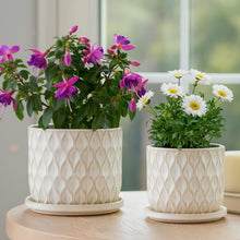White Teardrop Planter with Saucer