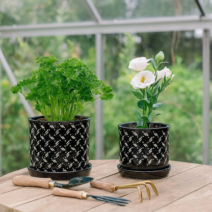 Black Round Dots Planter with Saucer