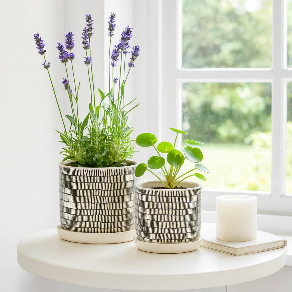 Ivory Line Planter with Saucer