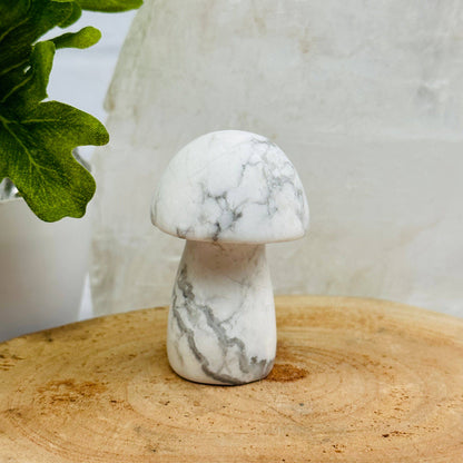 Crystal Gemstone Mushrooms Carving