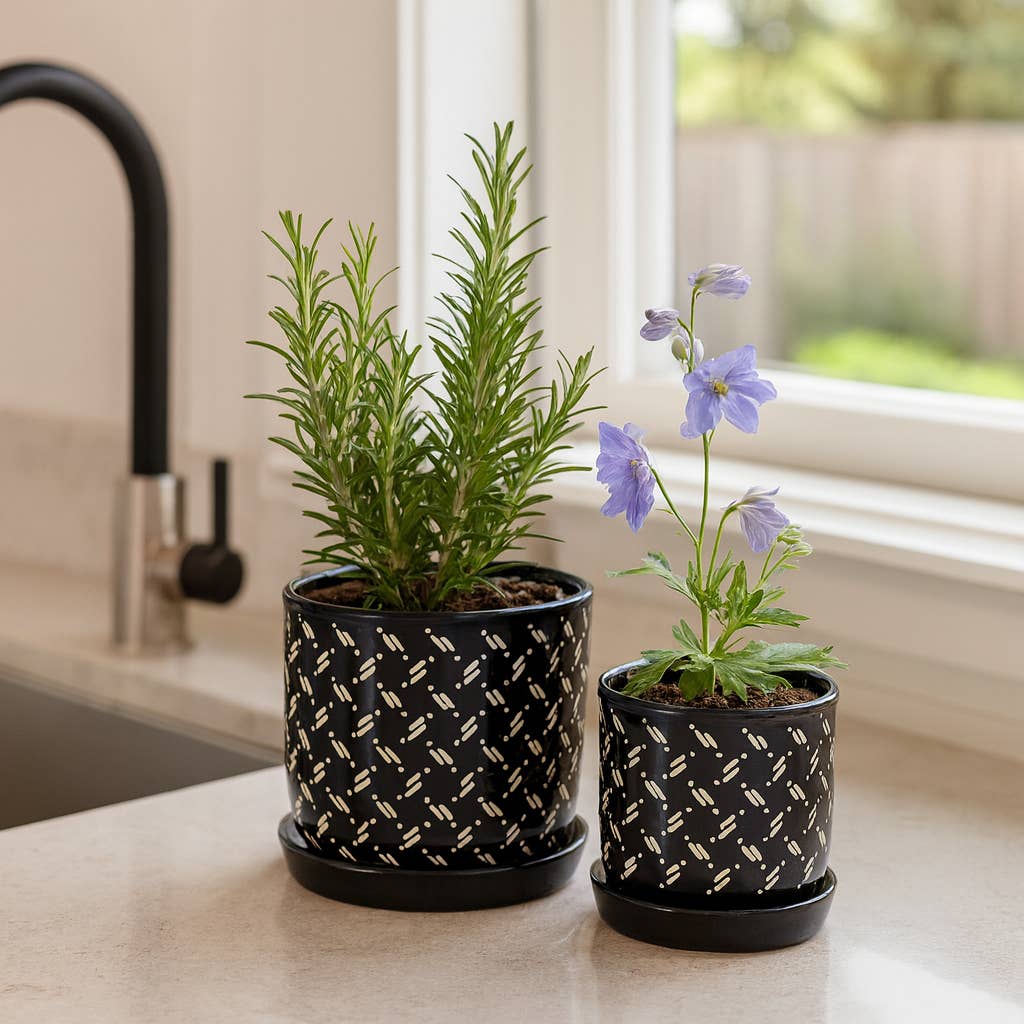 Black Round Dots Planter with Saucer