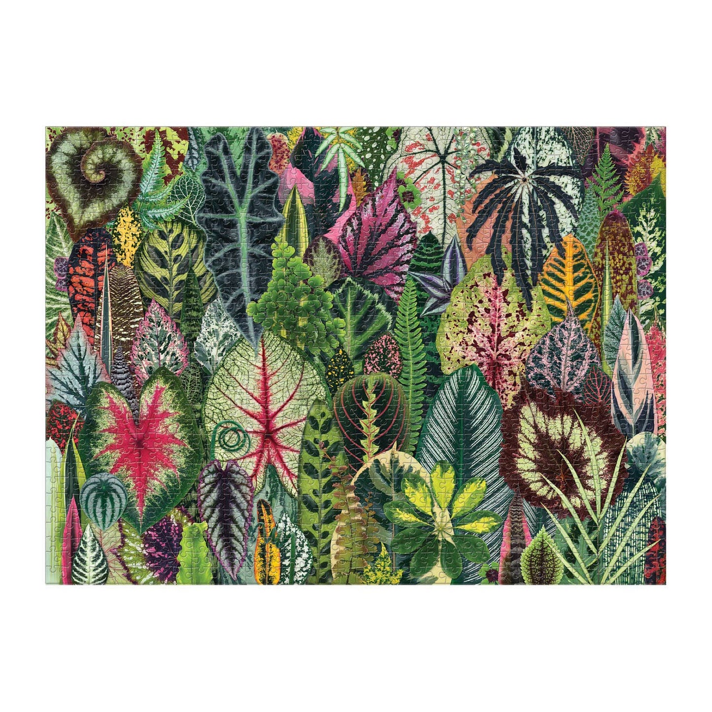 Houseplant Jungle 1000 Piece Puzzle