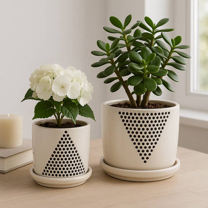 triangle succulent planter S/2 5/6" Triangle Dots Planter with Saucer, White