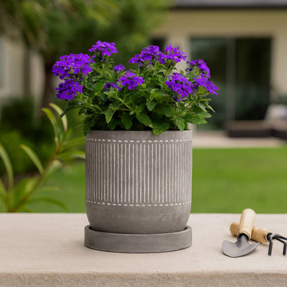 Gray Line Pattern Planter with Saucer 6"