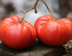 Tomato, German Pink Organic Seeds