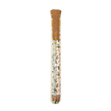 Pencil Terrarium, Set of 5 Pencils