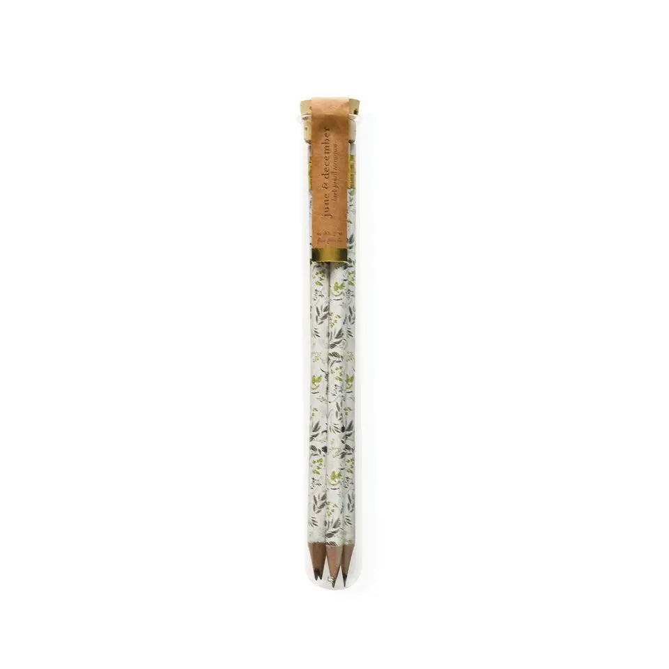 Pencil Terrarium, Set of 5 Pencils
