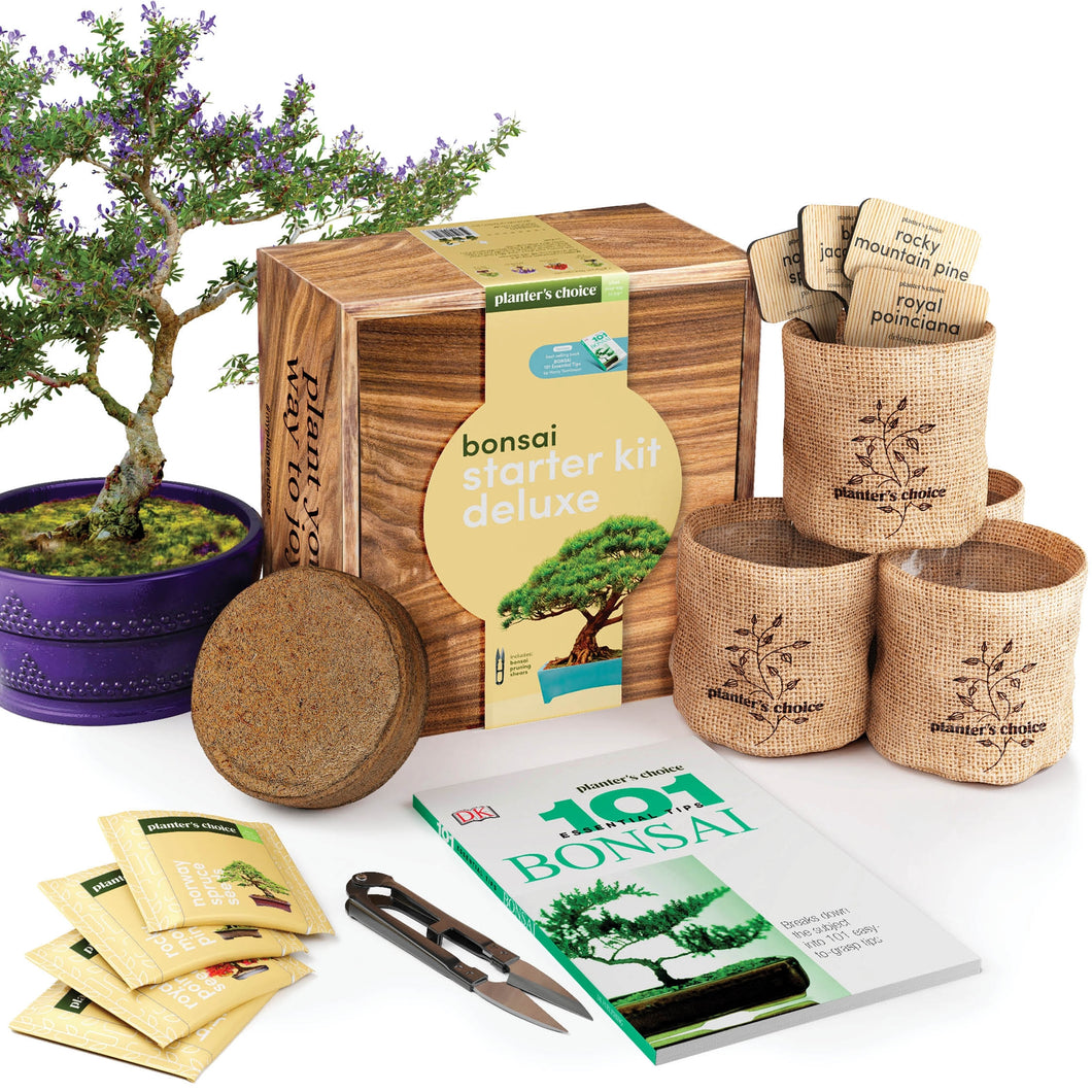 Bonsai Growing Kit