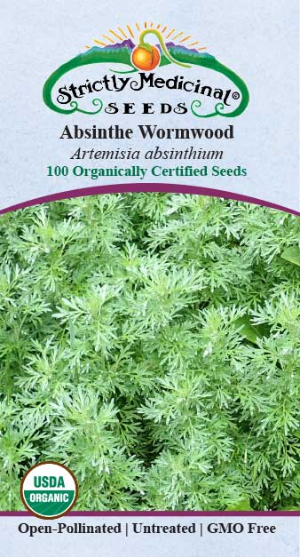 Ashwagandha (Withania Somnifera) Organic Seeds