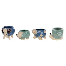 Syndicate Home & Garden Animal Planter Assortment - Colored