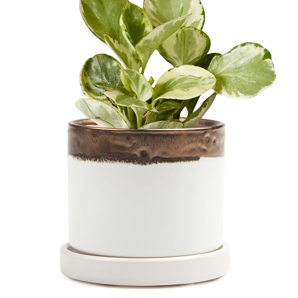 Big Minute Pot & Saucer