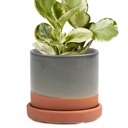 Big Minute Pot & Saucer