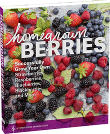 Homegrown Berries