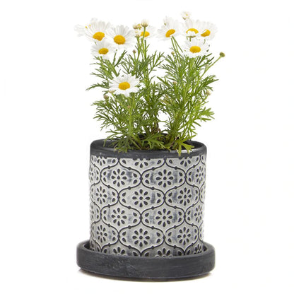 Big Balter Pot & Saucer