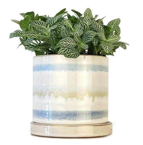 succulent pot with saucer Minute Ceramic Pot Green Layers