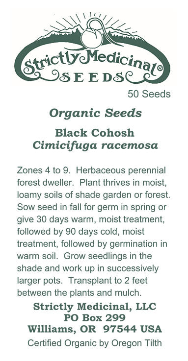 Black Cohosh (Cimicifuga racemosa) Organic Seeds