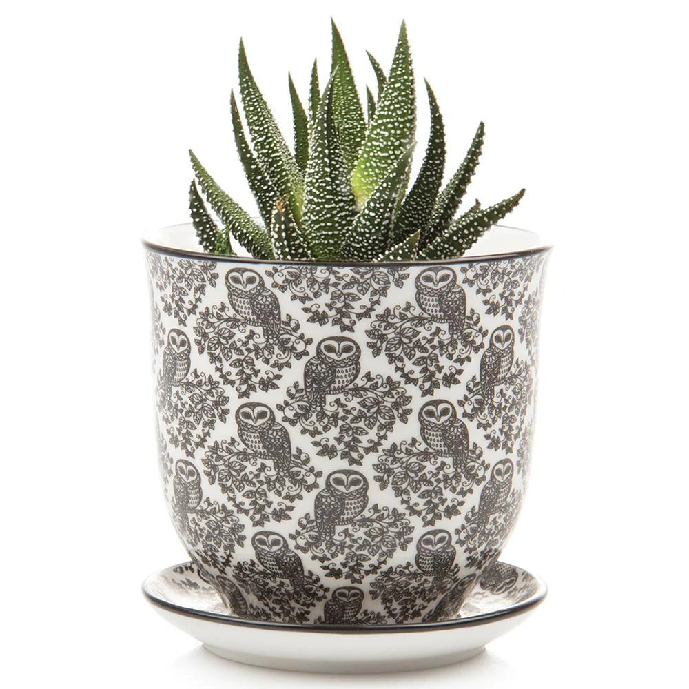 Small Liberte Pot & Saucer