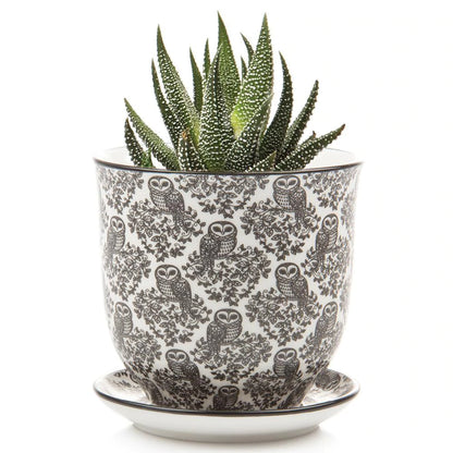 Small Liberte Pot & Saucer