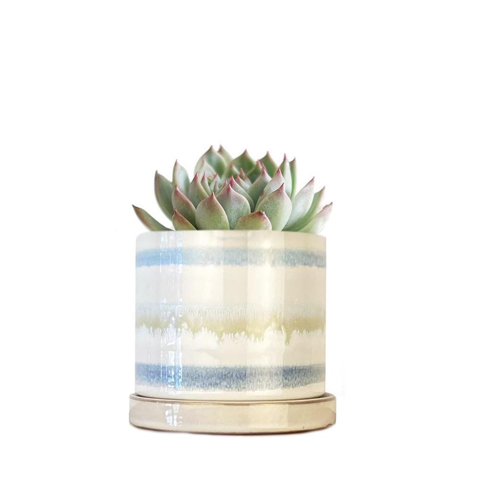 Small Minute Pot & Saucer