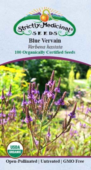 Blue Vervain (Verbena Hastata) Organic Seeds