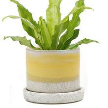 Big Minute Pot & Saucer