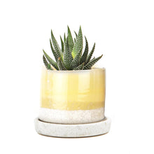 Small Minute Pot & Saucer
