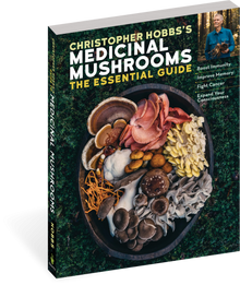 Christopher Hobb's Medicinal Mushrooms: The Essential Guide