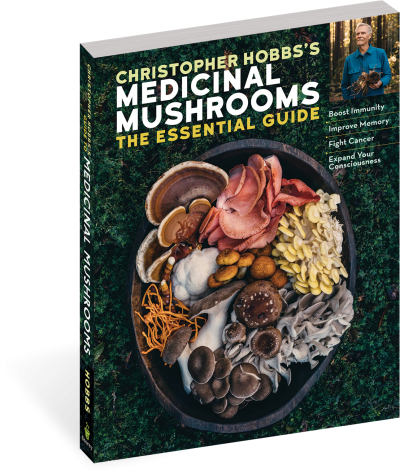 Christopher Hobb's Medicinal Mushrooms: The Essential Guide