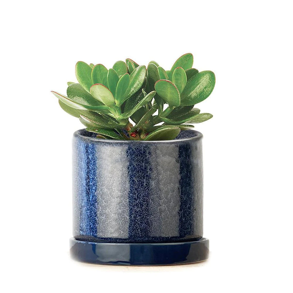 Small Minute Pot & Saucer