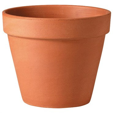 Deroma Clay Pot - 2.8