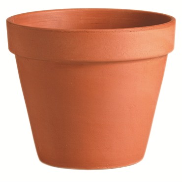 Deroma Terracotta Standard Clay Pot - 5.9